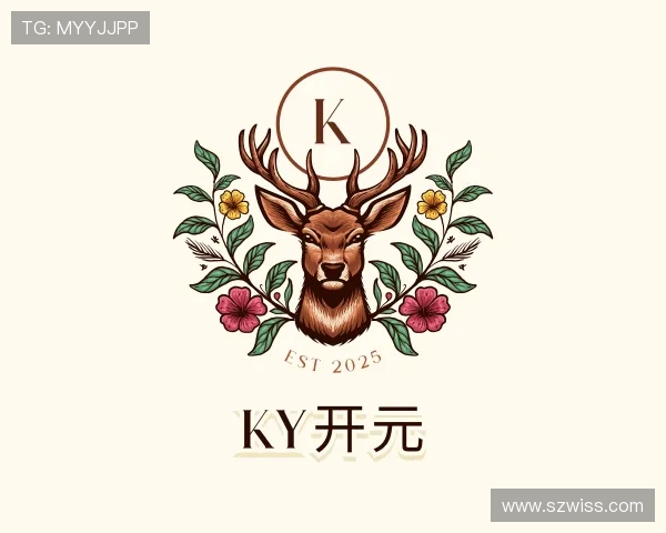 介绍Ky开元官网